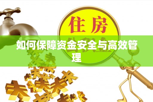 万安如何保障资金安全与高效管理
