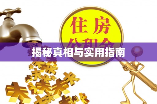 万安揭秘真相与实用指南