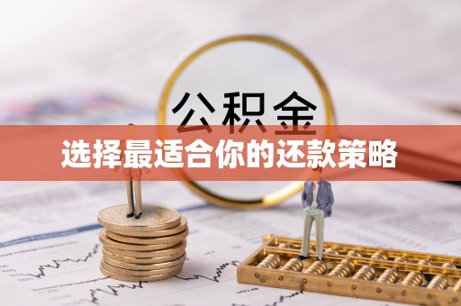 万安选择最适合你的还款策略