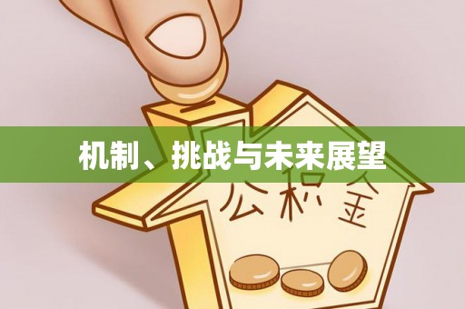 万安机制、挑战与未来展望